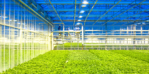 hvac industry segments indoor agriculture